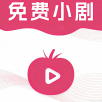涛哥电视TV2023最新版 涛哥电视TV2023最新版
